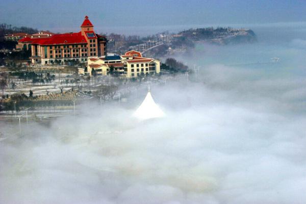 梦想的后院
