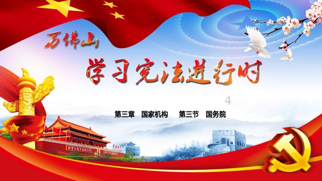 救援可爱的狮子