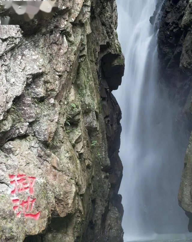 杀手5